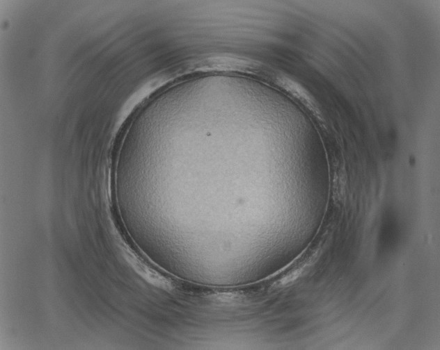 X0000065971130200603101350