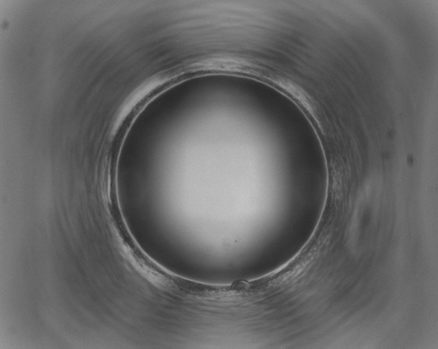 X0000065971131200603101350