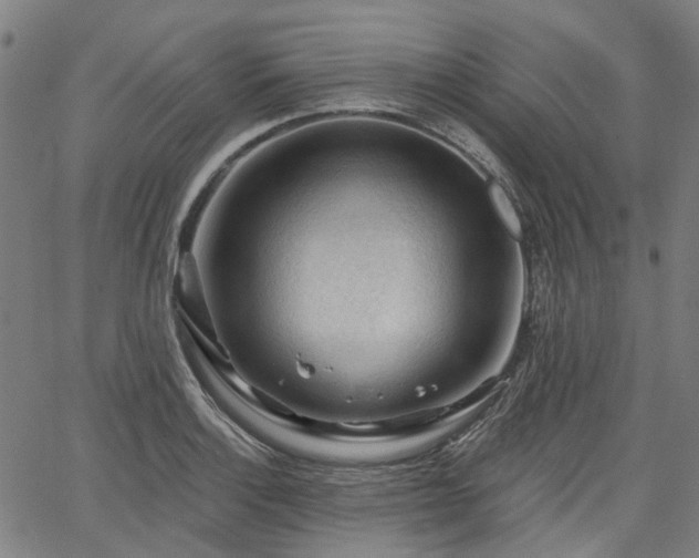 X0000065971132200603101350