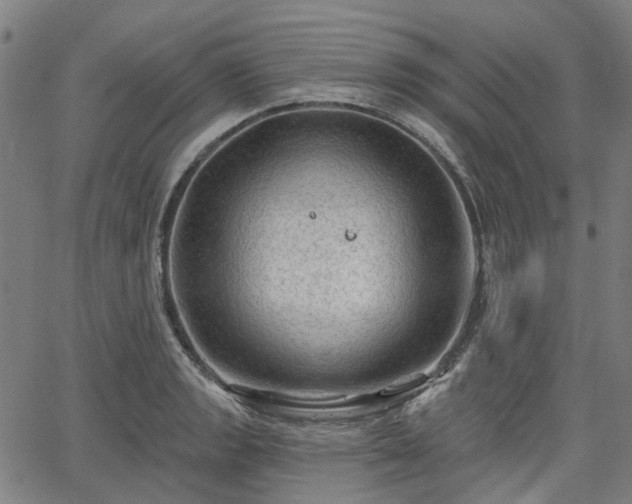 X0000065971133200603101350