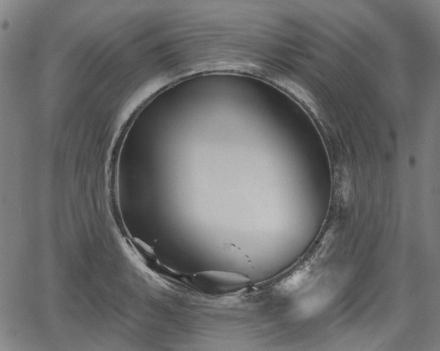 X0000065971135200603101351