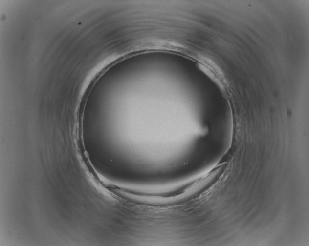 X0000065971136200603101351