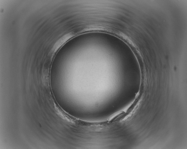 X0000065971137200603101351