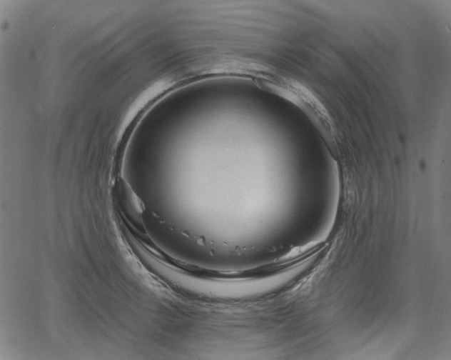 X0000065971138200603101351