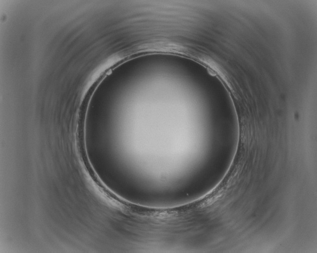 X0000065971139200603101351