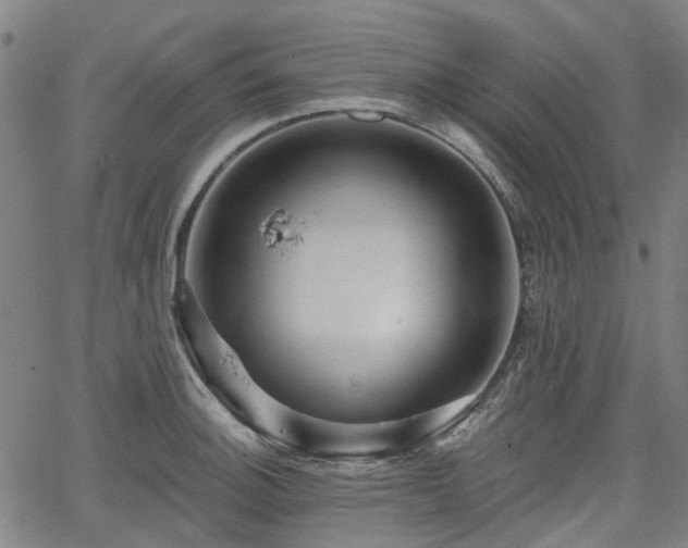 X0000065971140200603101351