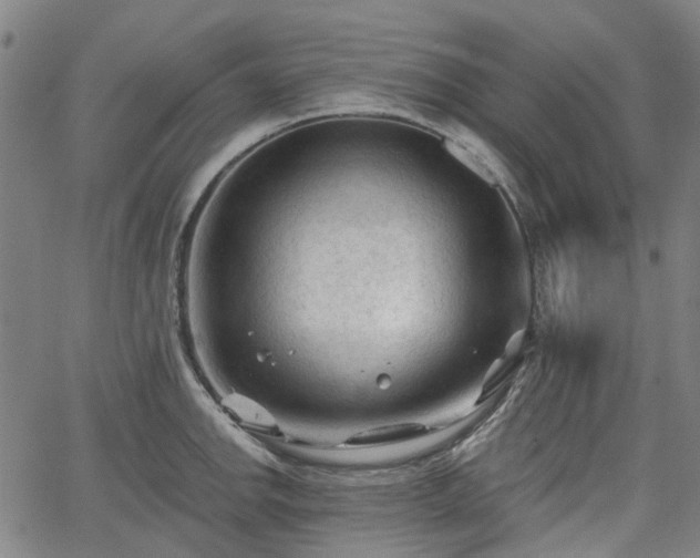 X0000065971142200603101351