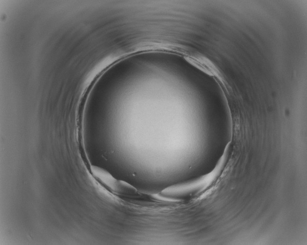 X0000065971143200603101351