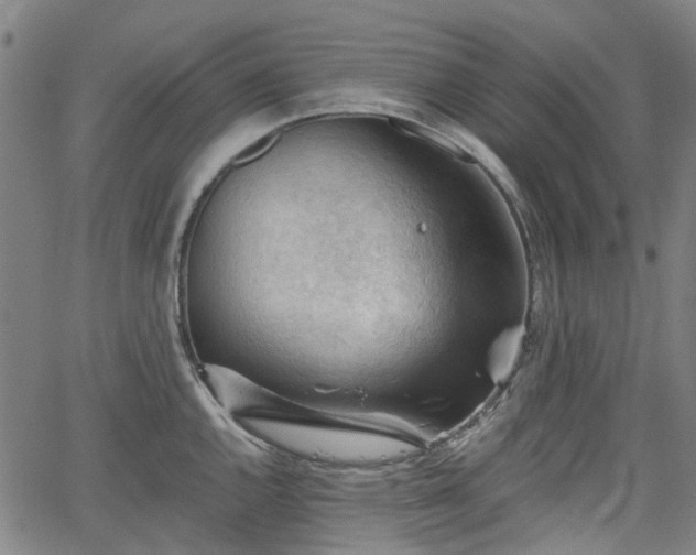 X0000065971144200603101351