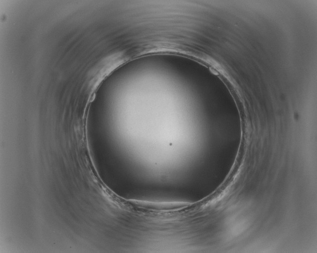 X0000065971145200603101351