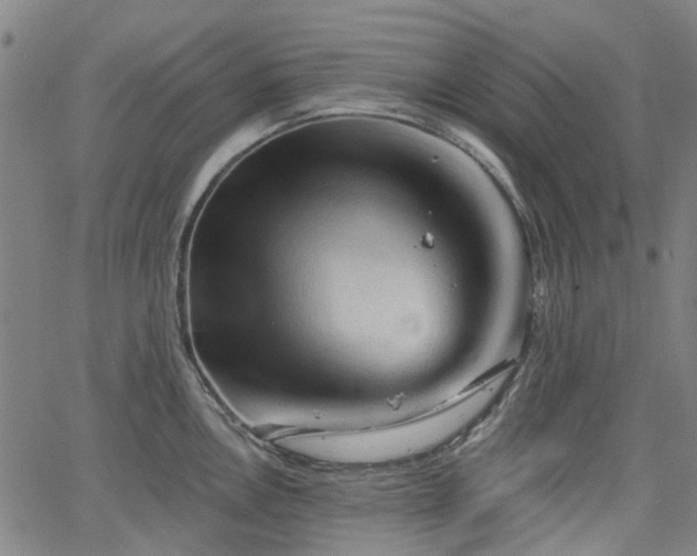 X0000065971146200603101351