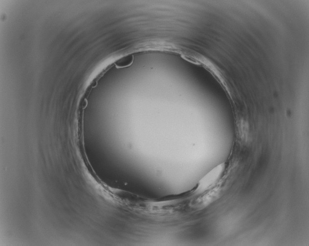 X0000065971147200603101351