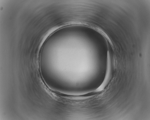 X0000065971148200603101351