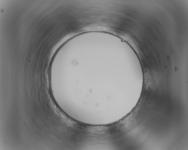 X0000065971150200603101351