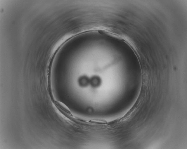 X0000065971151200603101351