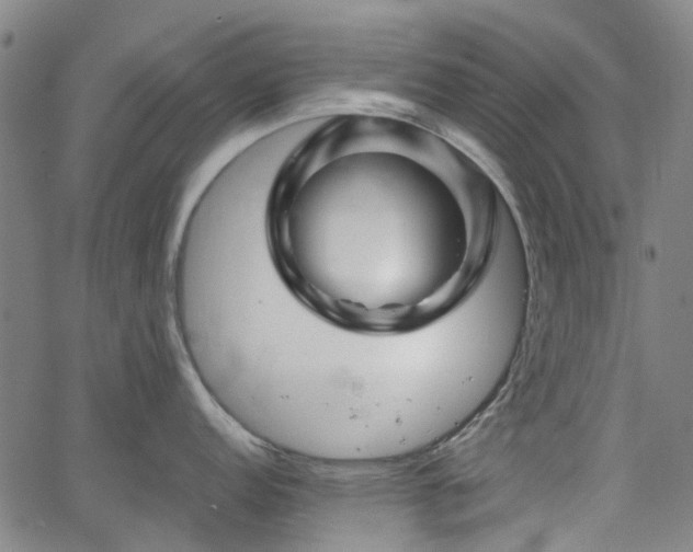 X0000065971152200603101351