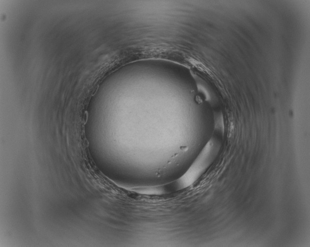 X0000065971153200603101350