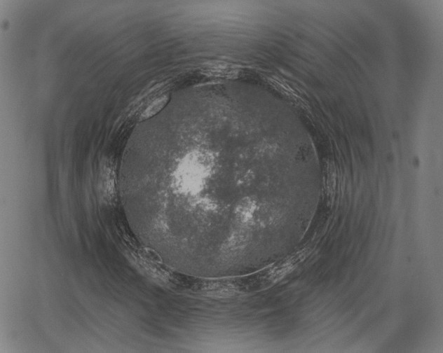 X0000065971154200603101350