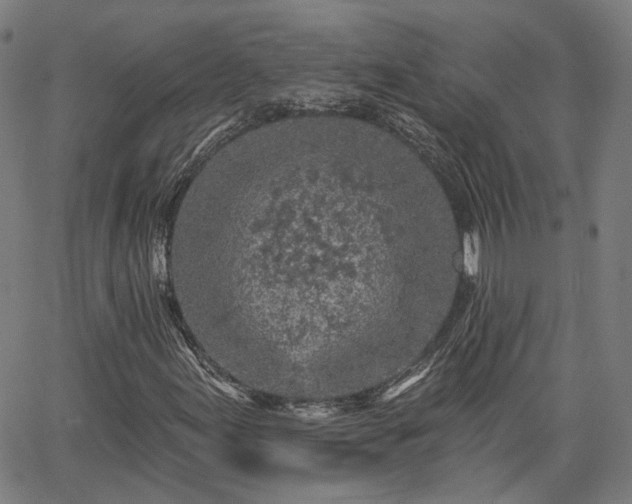 X0000065971155200603101350