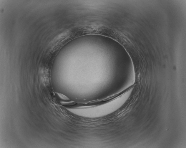 X0000065971156200603101350