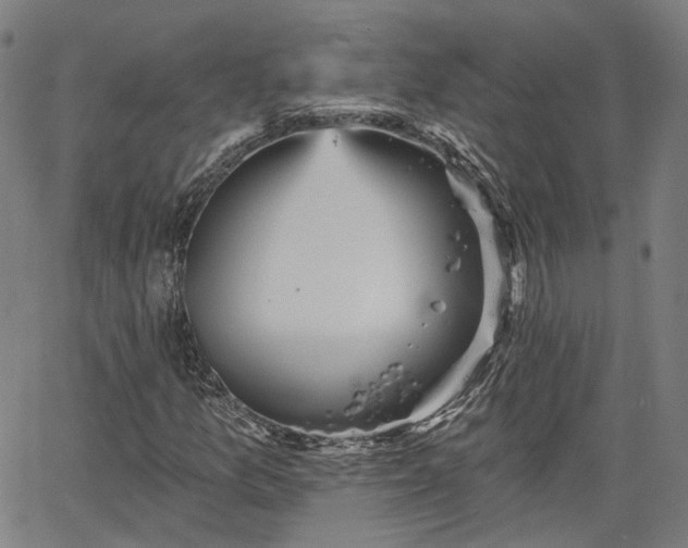 X0000065971157200603101350