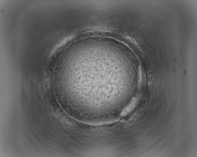 X0000065971159200603101350