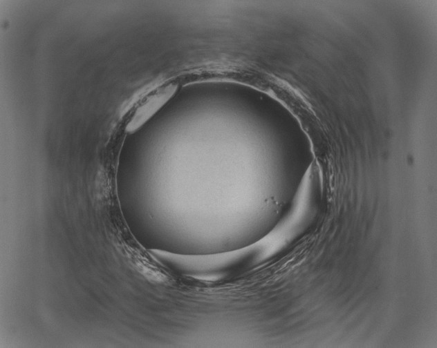 X0000065971160200603101350