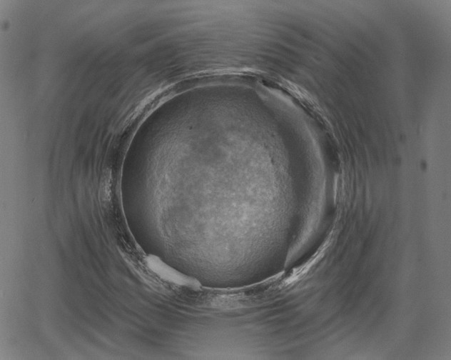 X0000065971161200603101350