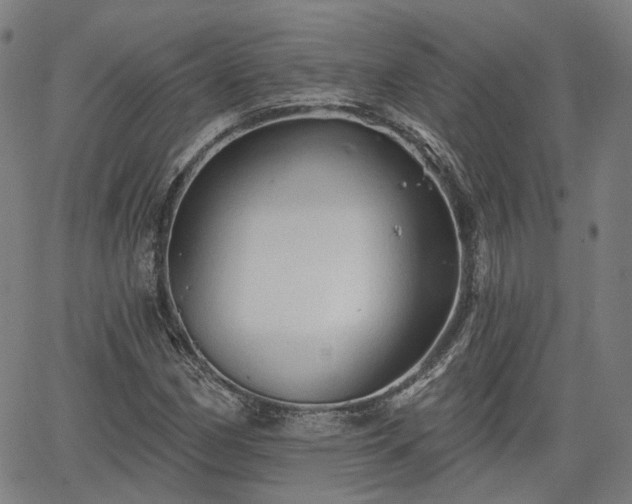 X0000065971162200603101350