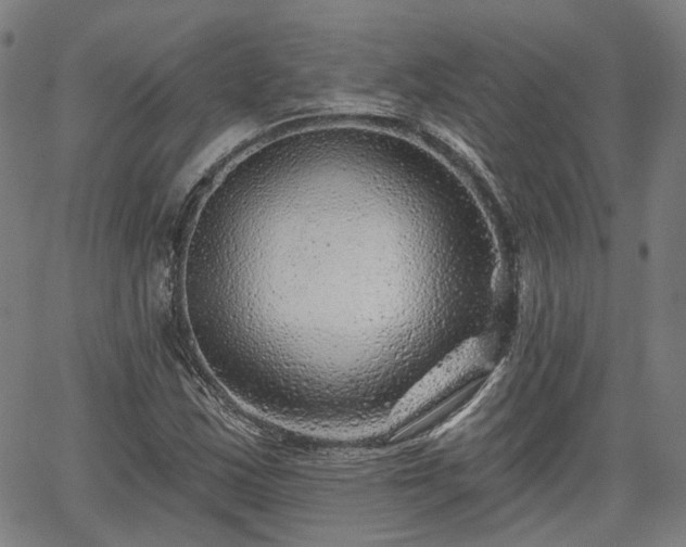 X0000065971163200603101350