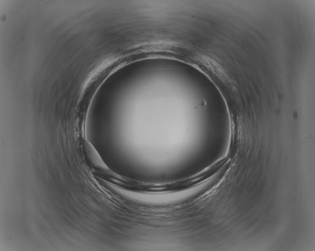 X0000065971164200603101350