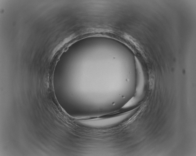 X0000065971165200603101350