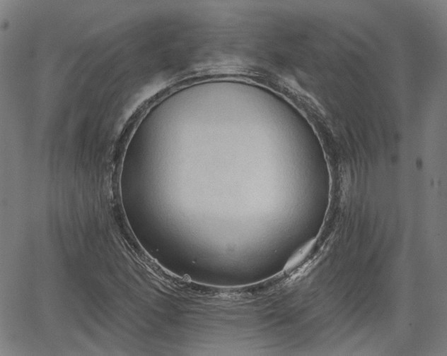 X0000065971166200603101350