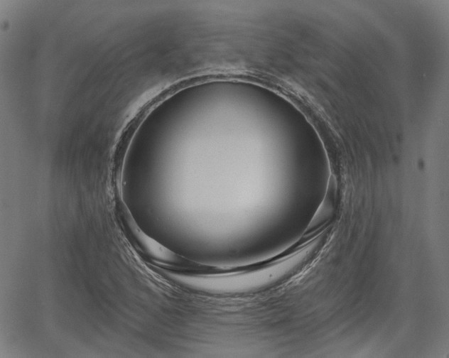 X0000065971168200603101350