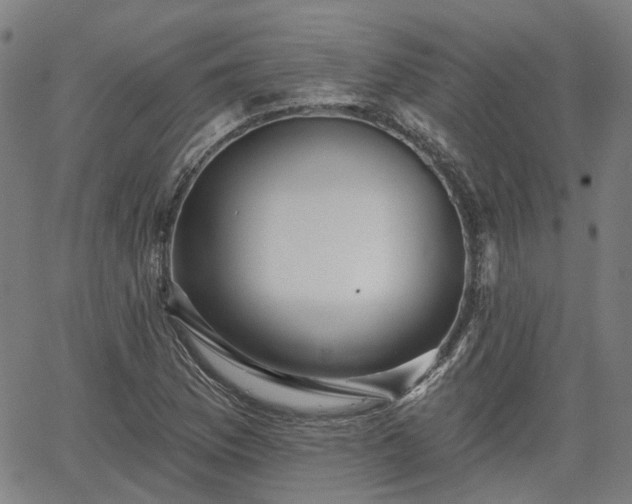 X0000065971169200603101350