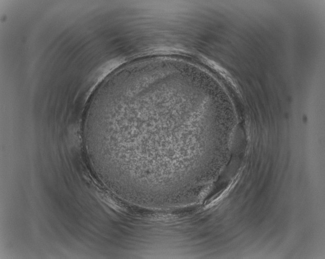 X0000065971170200603101350