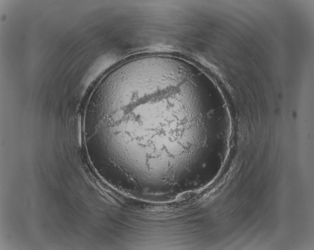 X0000065971171200603101350