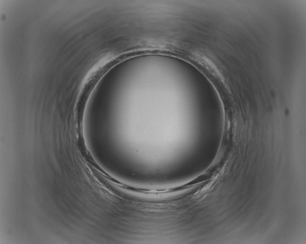 X0000065971172200603101350