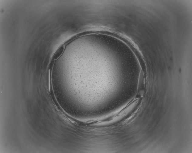 X0000065971175200603101350