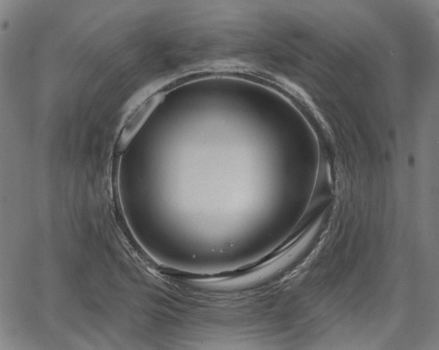 X0000065971176200603101350