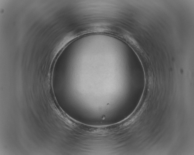 X0000065971178200603101350