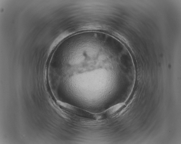 X0000065971179200603101350