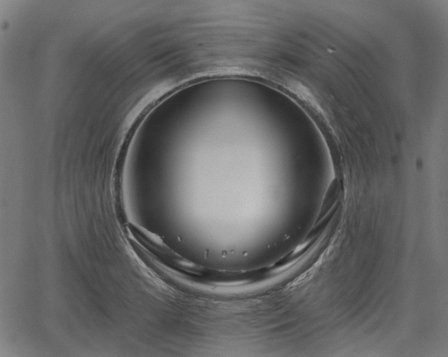 X0000065971181200603101350