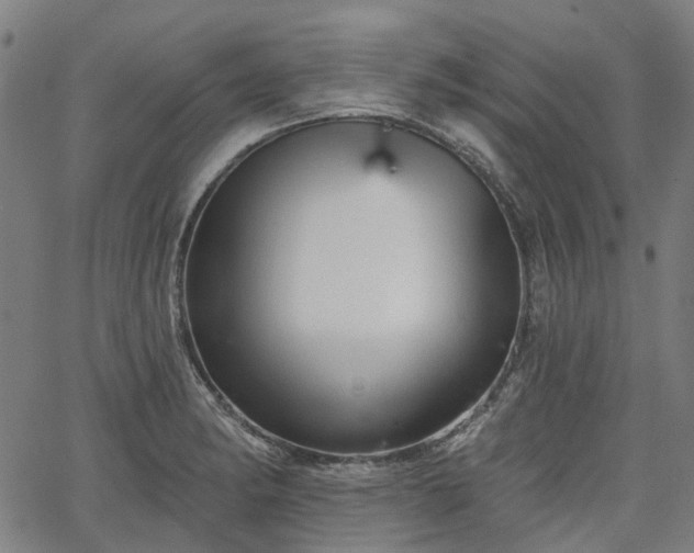 X0000065971182200603101350