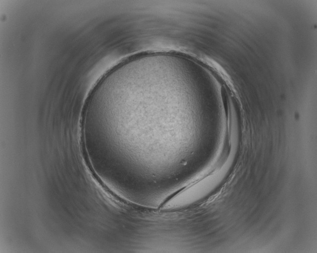 X0000065971183200603101350