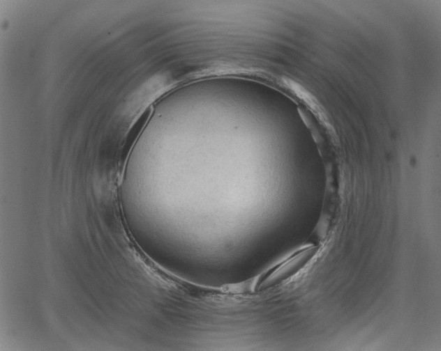 X0000065971185200603101349