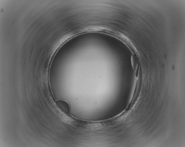 X0000065971186200603101349