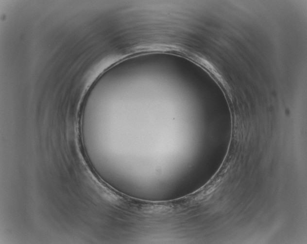 X0000065971187200603101349