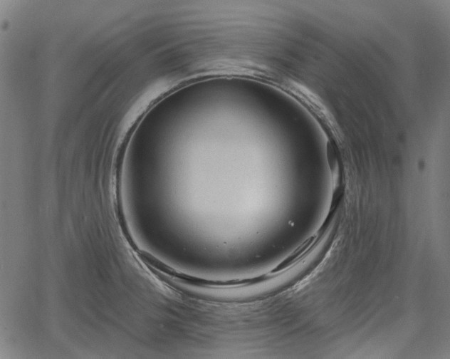 X0000065971188200603101349