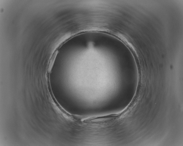 X0000065971189200603101349